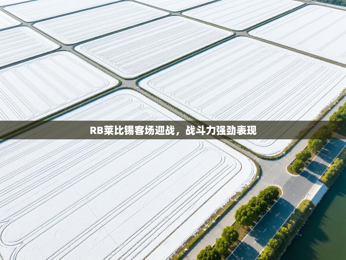 RB莱比锡客场迎战，战斗力强劲表现  第1张