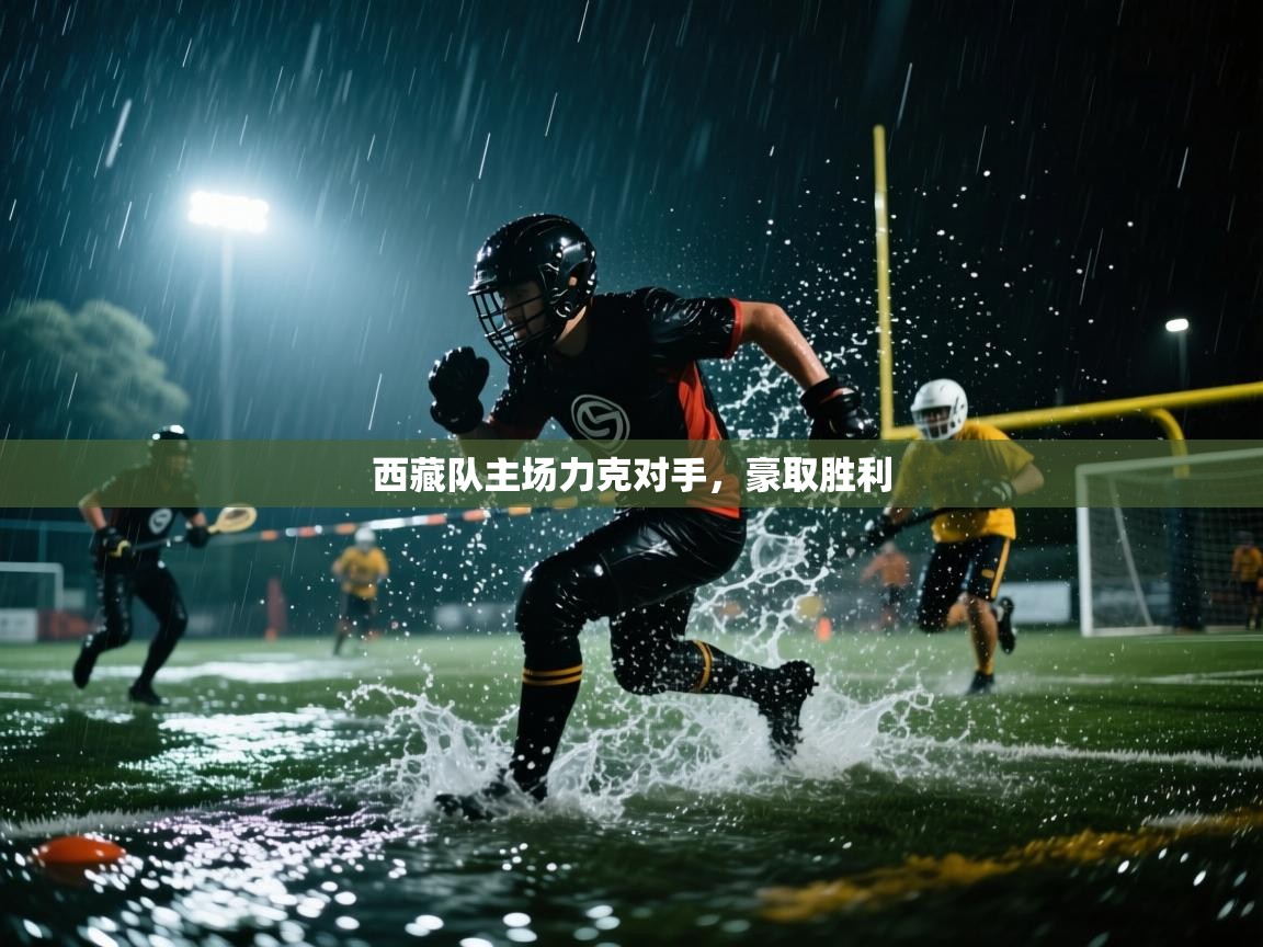 西藏队主场力克对手,豪取胜利 第1张